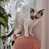 NALA - ein absolutes Goldstück!