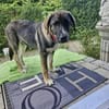 Sunny, menschenbezogen, sehr sozial