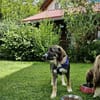 Sunny, menschenbezogen, sehr sozial