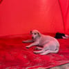 Luca ist ein Goldschatz