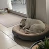 Luca ist ein Goldschatz