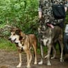 Kiyo, sucht Altersruhesitz