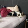 Wer schenkt Loon ein Leben voller Liebe?