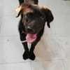 Holly ist in Deutschland