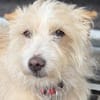 Turpi1 sucht ein Zuhause