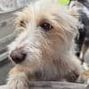 Turpi1 sucht ein Zuhause
