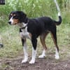 Jette - bezaubernde Mama sucht Familie