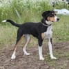 Jette - bezaubernde Mama sucht Familie