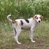 Sunny - gute Laune auf Familiensuche