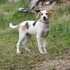 Sunny - gute Laune auf Familiensuche