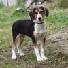 Mia - Körbchen zum Träumen gesucht