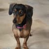 Malna sucht neues Zuhause