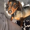 Malna sucht neues Zuhause