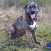 Duke wünscht sich so sehr eine 2. Chance