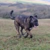 Duke wünscht sich so sehr eine 2. Chance