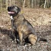 Duke wünscht sich so sehr eine 2. Chance