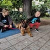Gruszka