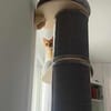 Lieber Njonjo sucht neue Familie