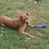 Süsse kleine Bandita sucht ein Zuhause