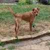 Süsse kleine Bandita sucht ein Zuhause