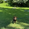 Padi erobert die Herzen 🐾