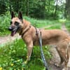 🆘‼RUBY in 91616 Neusitz 🆘‼