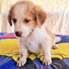 Maxi ein liebes Kerlchen