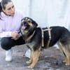 Ava sucht ein tolles Zuhause