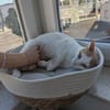 Emmy und Morphy aus dem Tierschutz