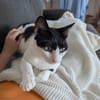 Emmy und Morphy aus dem Tierschutz