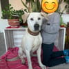 Murray sucht ein Zuhause als Einzelprinz