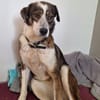 Ouzy ist eine so sanfte und liebe Seele!