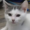 SMOKEY (RESERVE)