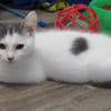 SMOKEY (RESERVE)