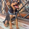 SCOUT (Martina)