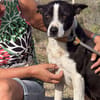 HUDSON (Maria)