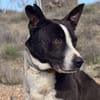 HUDSON (Maria)