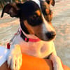 LUPE (Martina)
