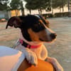 LUPE (Martina)