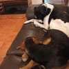 HANK (Martina)