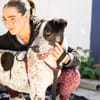 Wer schenkt Archie ein tolles Zuhause?
