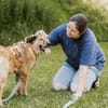 Bunny sucht ein liebevolles Zuhause