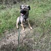 Nele möchte deine Familie bereichern♥
