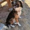 Aufgeweckter Raider will gefallen