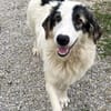 Wunderbare Shine sucht ihre Familie
