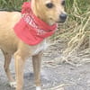 TESSA - liebevoll und verschmust