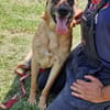 ‼🆘 RUBY in 91616 NEUSITZ ‼🆘