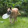 ‼🆘 RUBY in 91616 NEUSITZ ‼🆘