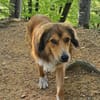 Cliff sucht -seinen Partner-