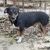 ❤🐾 LENi, unser kleiner Wirbelwind